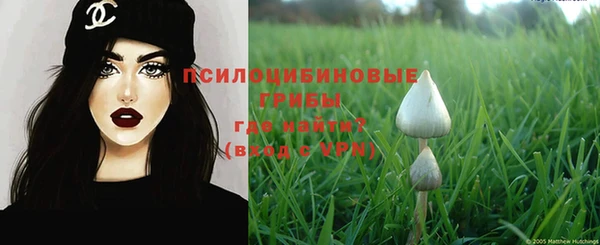 тгк Аркадак