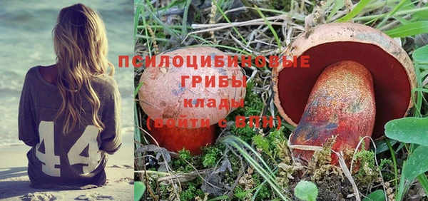 герыч Арсеньев