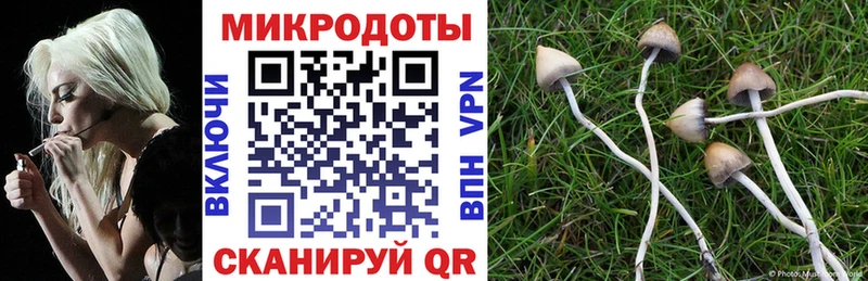 купить закладку  Таруса  Псилоцибиновые грибы GOLDEN TEACHER 